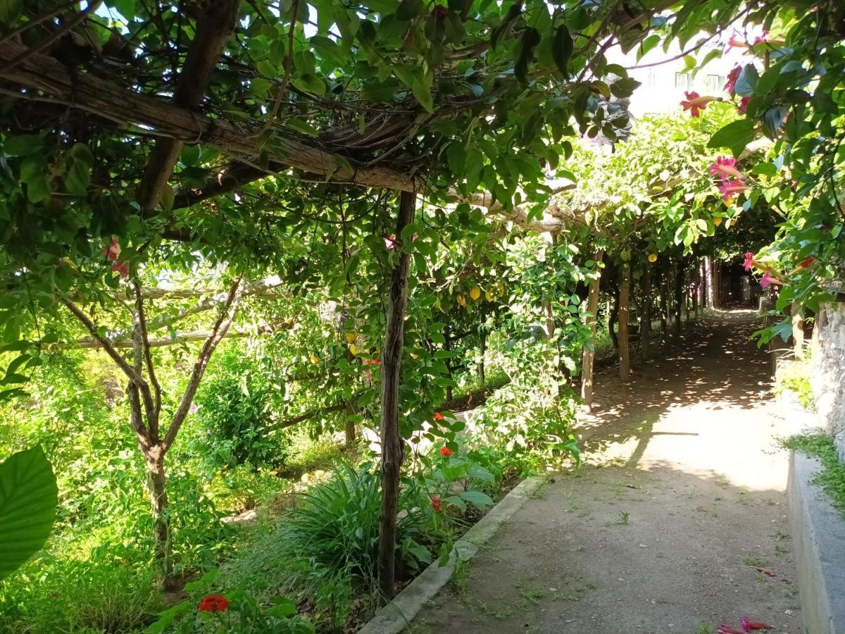 Casa Emi Apartment Amalfi Exterior photo